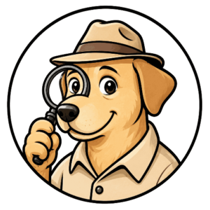 babelface-searchviafacepicture